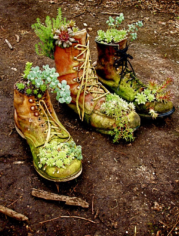 Boot Or Shoe Succulent Planters