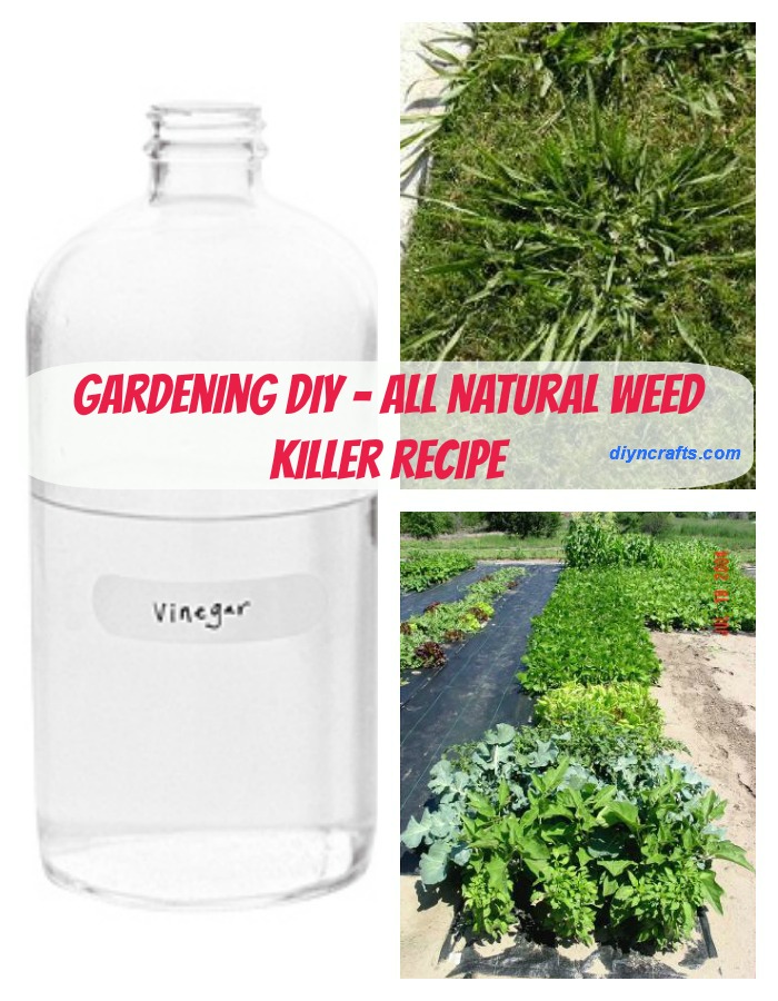 Gardening DIY A Safe and AllNatural Way to Get Rid Of Garden Weeds