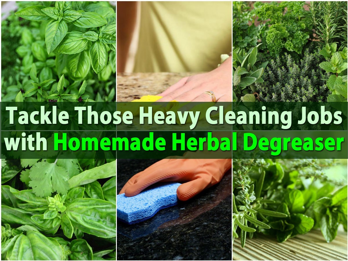 Tackle Those Heavy Cleaning Jobs with Homemade Herbal Degreaser DIY