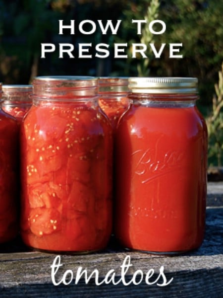 Top 8 Most Popular Ways to Preserve Tomatoes for Winter ...