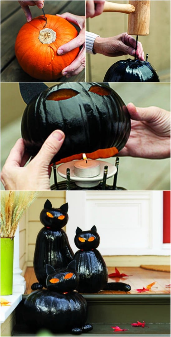 Black Cat O’Lanterns