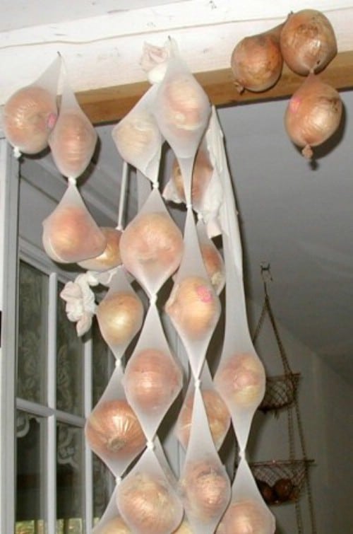 Store Onions in Pantyhose - 40 DIY Tricks To Make Your Groceries Last As Long As Possible