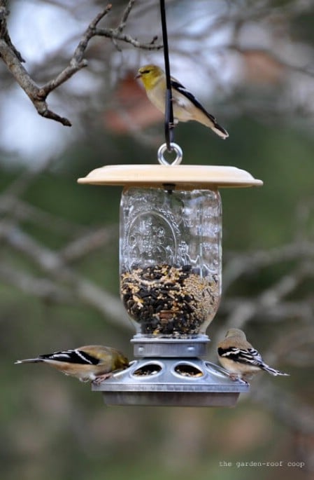23 DIY Birdfeeders That Will Fill Your Garden With Birds ...