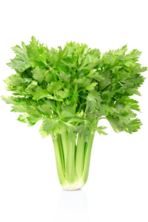 2. Celery - 25 Foods You Can Re-Grow Yourself from Kitchen Scraps