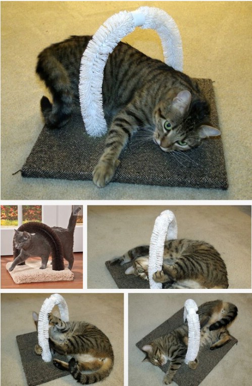 20 Purrfect DIY Projects for Cat Owners - DIY &amp; Crafts