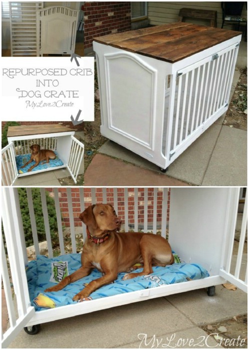 10 dog crate