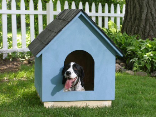 15 Brilliant DIY Dog Houses With Free Plans For Your Furry 