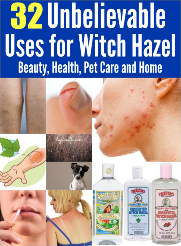 32 Unbelievable Uses for Witch Hazel Beauty, Health, Pet Care and Home