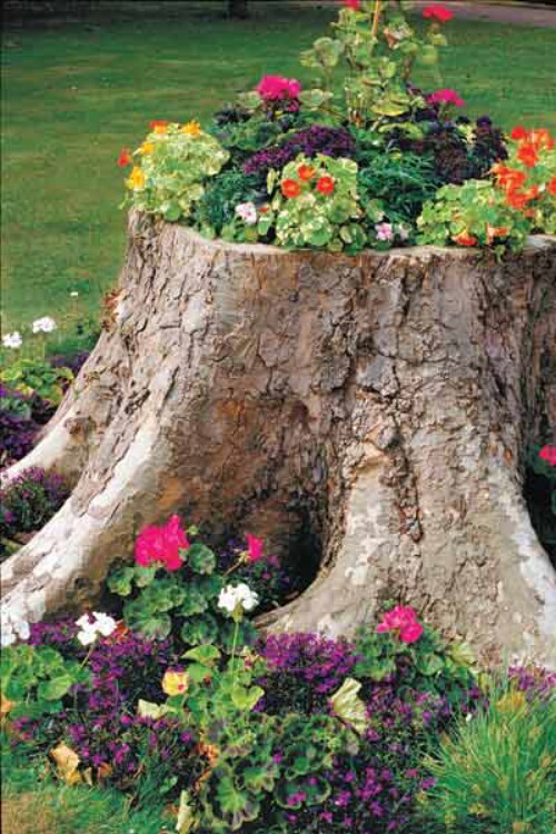 20 Amazing Flower Planters and Lawn Ornaments Made Out of Old Tree