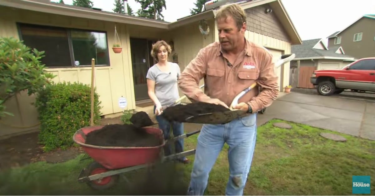 Restore a Patchy, Weedy Lawn to Its Former Glory with a Few Simple