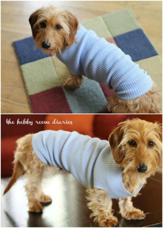 50 Amazingly Creative Upcycling Projects For Old Sweaters Page 2 of 5