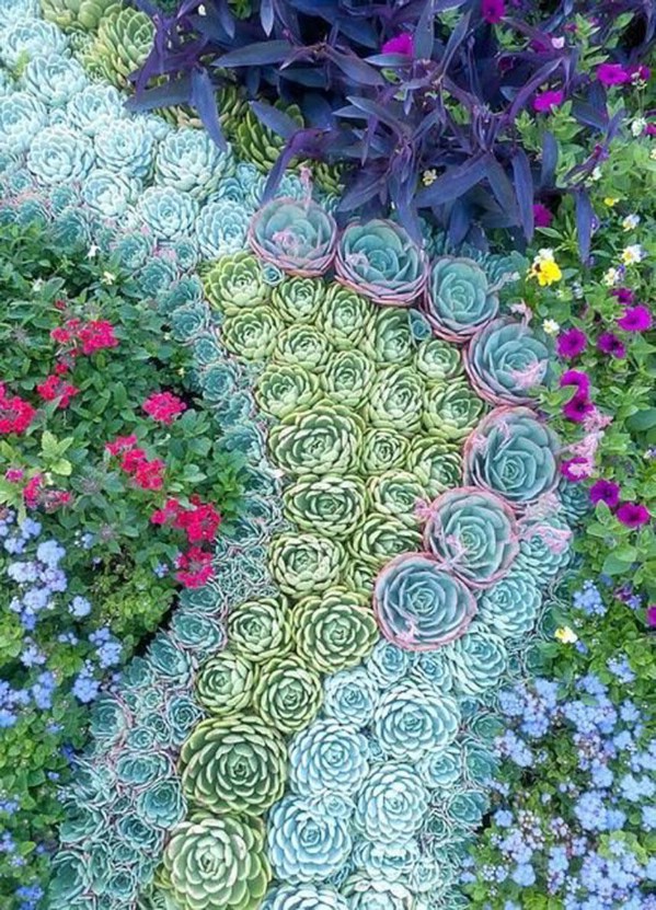 15 Easy DIY Backyard Succulent Garden Ideas
