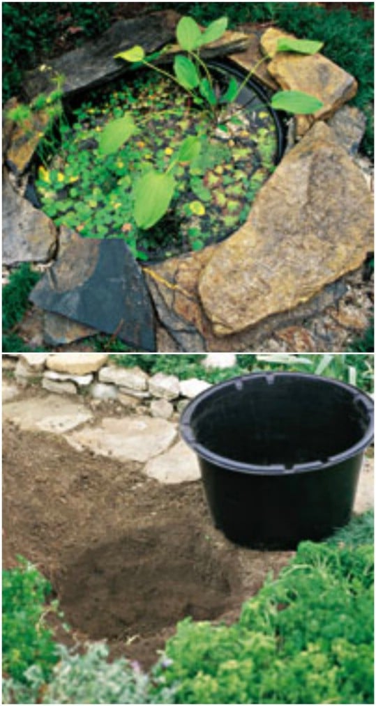 20 Charming And Cheap Mini Water Garden Ideas For Your Home And Garden