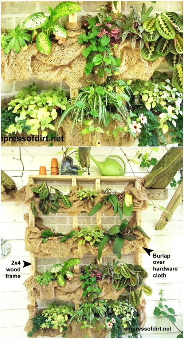 15 Easy DIY Backyard Succulent Garden Ideas