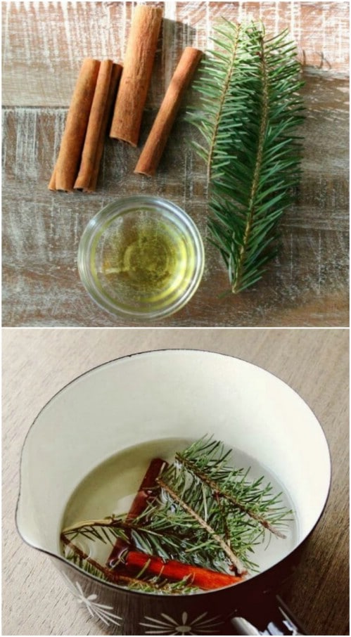 13 DIY Cozy Evergreen Christmas Decor Ideas