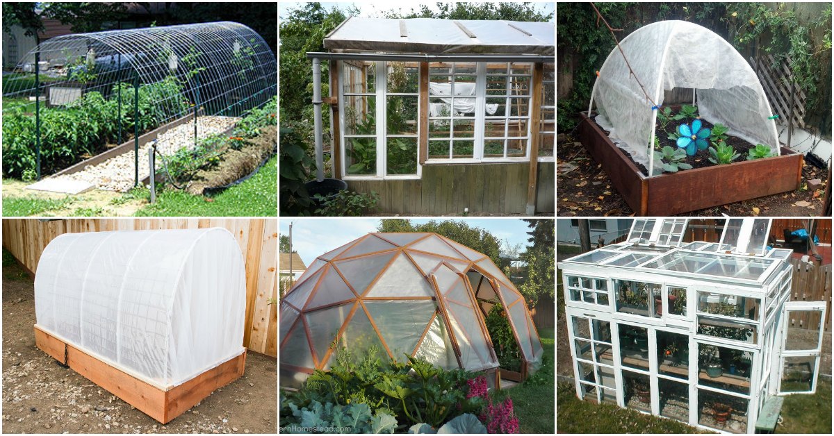 20 Free DIY Greenhouse  Plans  You ll Want To Make Right 