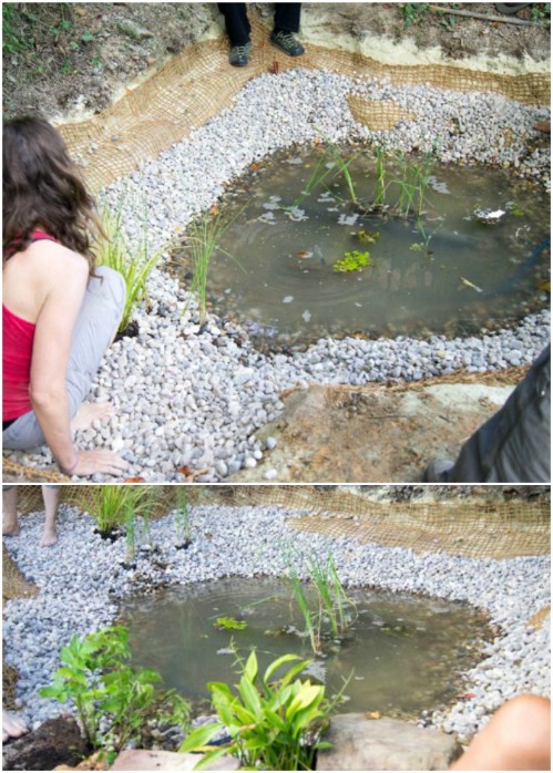 15 Budget Friendly DIY Garden Ponds You Can Make This ...