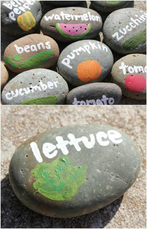 15 Creative DIY Plant Labels and Markers for Your Garden