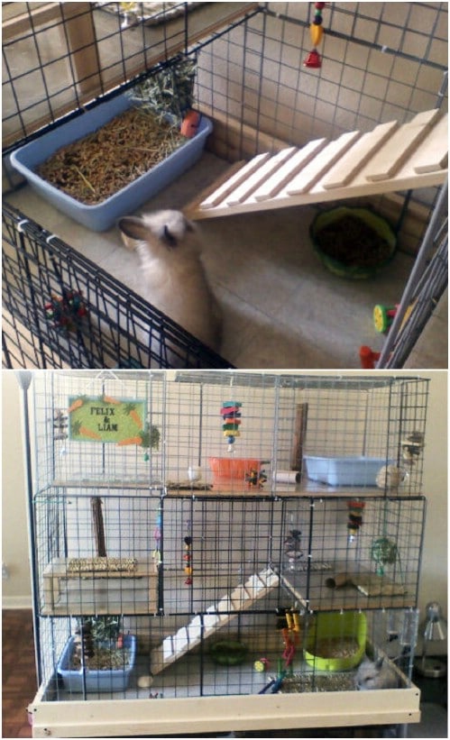 10 Free DIY Rabbit Hutch Plans That Make Raising Bunnies 