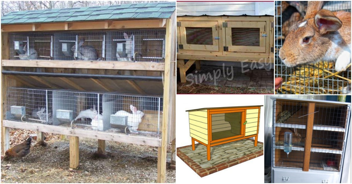 10 Free DIY Rabbit Hutch Plans That Make Raising Bunnies ...