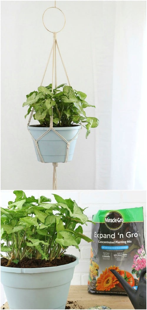 Spring Projects: 15 Easy DIY Hanging Planters