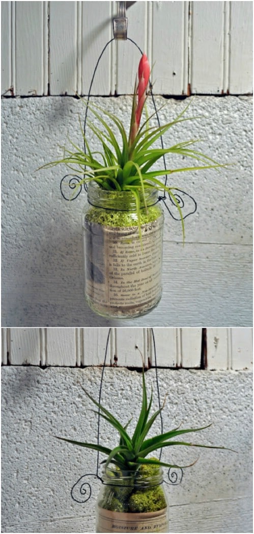 DIY Mason Jar Hanging Planter