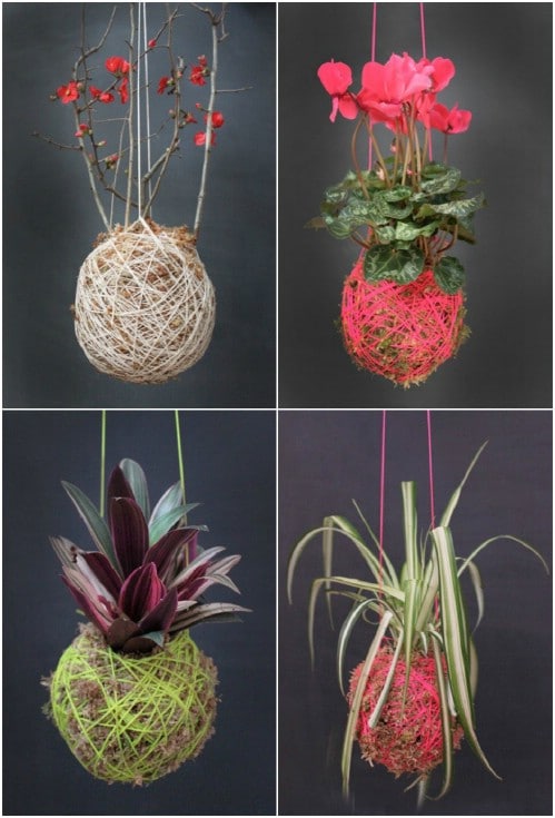 DIY Hanging Moss Ball Planter