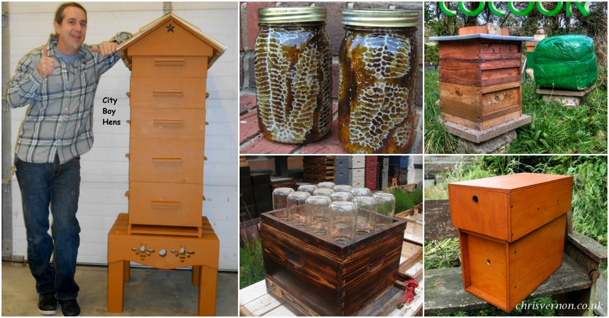 10 DIY Beehives You Can Add To Your Backyard Today - DIY ...