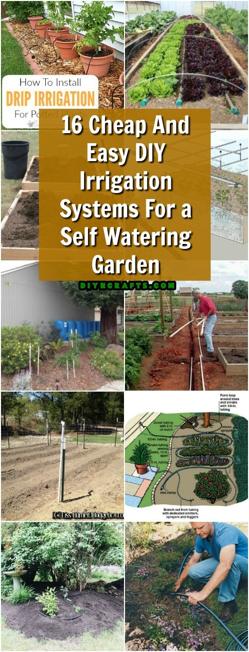 16 Cheap And Easy DIY Irrigation Systems For A Self Watering Garden