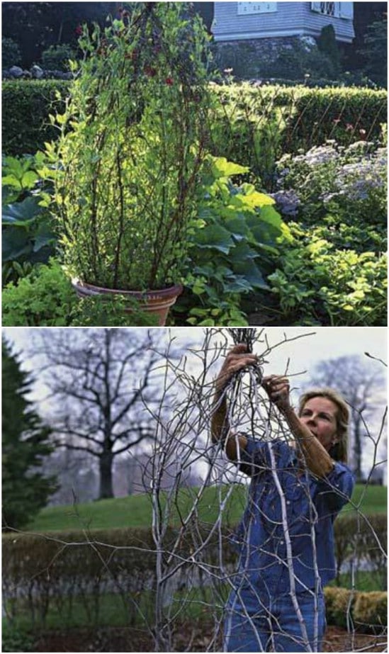 14 Great DIY Garden Plant Supports and Ideas