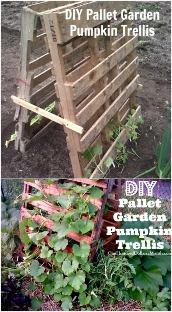 14 Great DIY Garden Plant Supports and Ideas