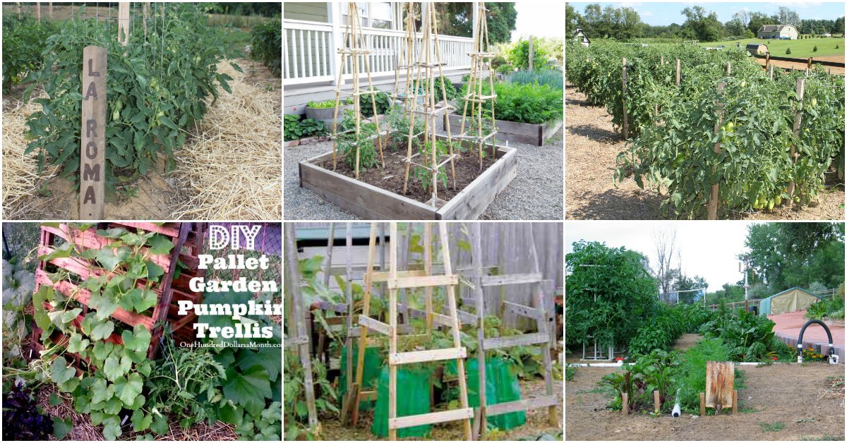 15 DIY Plant Supports And Cages You Need In Your Summer Garden DIY