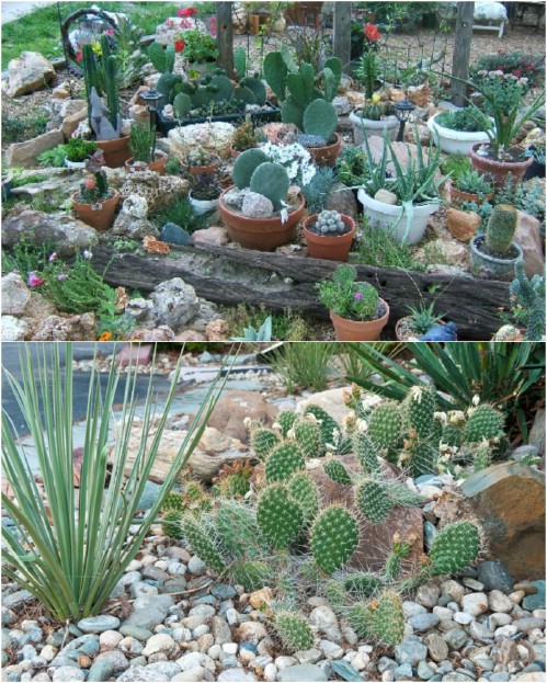 10 Gorgeous And Easy DIY Rock Gardens That Bring Style To Your Outdoors - DIY & Crafts