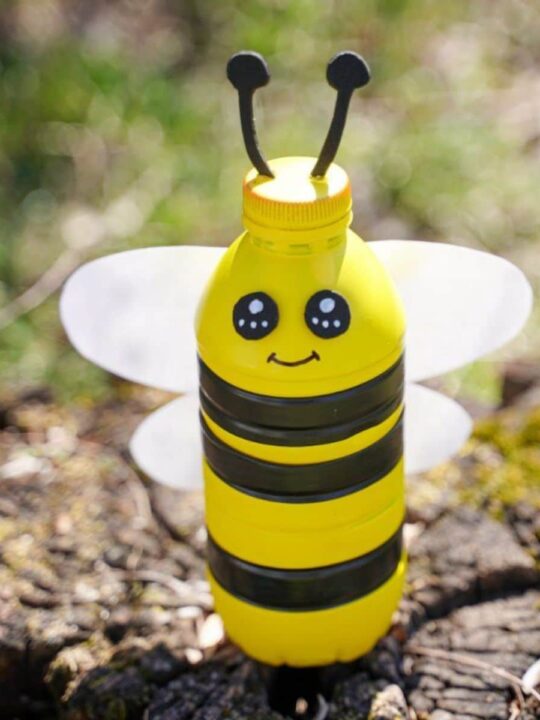 A person's hand holding a plastic bottle bumblebee bank, showing the coin slot.