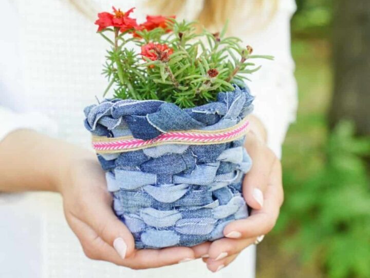 Rustic Denim Planter Basket 5 Top-down view of a plant in a denim basket planter
